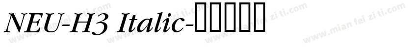 NEU-H3 Italic字体转换